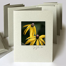 Michigan Wildflower Cards